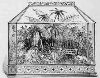 A brief history of terrariums